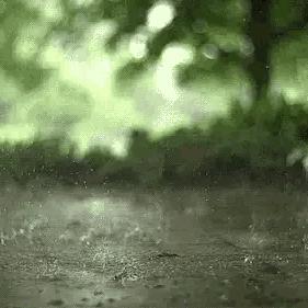 云南24号以后的天气（云南24号到28号的天气）