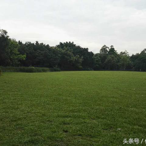 19号几点下雨（19号几点下雨深圳）