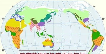 西双版纳天气预报15天，热带雨林的气候密码与旅行指南