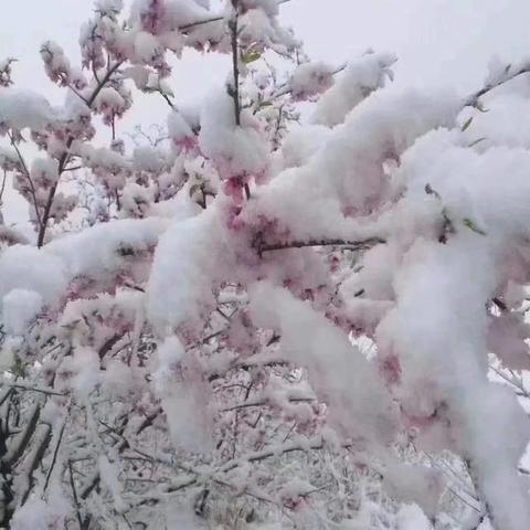山东今明后7天最新天气，大范围降温来袭，多地将迎降雨与霜冻