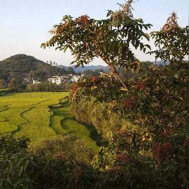 毕节天气预报,洞悉乌蒙山区的天气密码,守护黔西北的四季晴雨 毕节天气预报,洞悉乌蒙山区的天气密码,守护黔西北的四季晴雨