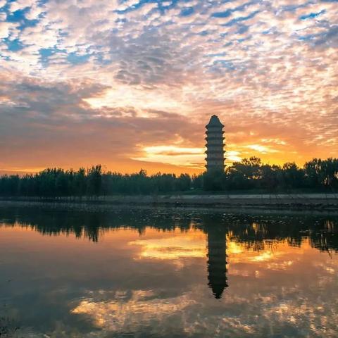 临清天气预报，小城四季的呼吸与生活指南