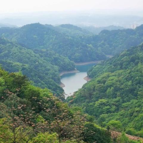 九寨沟天气，变幻中的仙境之韵