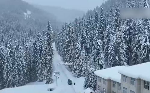 阿勒泰的天气，一半是雪，一半是光