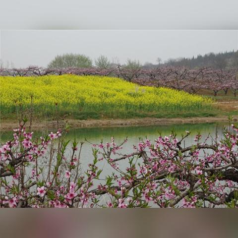 淮南市天气预报,春日天气多变,市民需注意防寒保暖 淮南市天气预报,春日天气多变,市民需注意防寒保暖