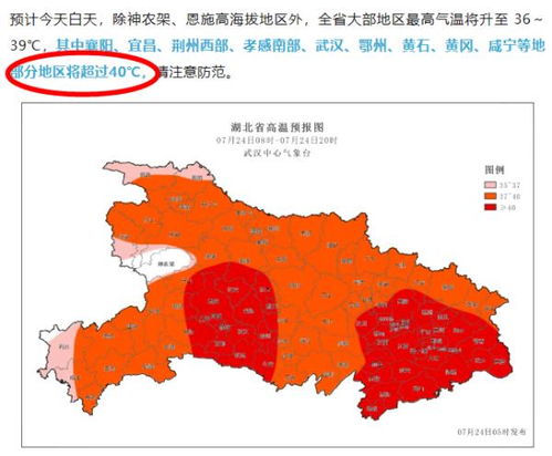 宁波一周天气预报，春意渐浓，晴雨交替需留意