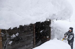 辽宁降雪最新消息，多地将迎强降雪，出行需注意安全