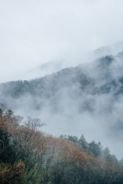神农架天气，云雾里的四季诗篇