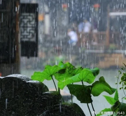 我是在一个梅雨天里到达无锡的。空气里拧得出水来，那水是温的，粘在皮肤上，像一层薄薄的汗，又像是潮润的吻。火车站外，雨丝斜斜地织着，织成一张灰蒙蒙的网，把远处的惠山都罩进去了