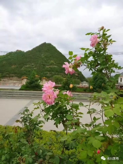 泾川天气，在四季的呼吸里，读懂一座西北小城的温度