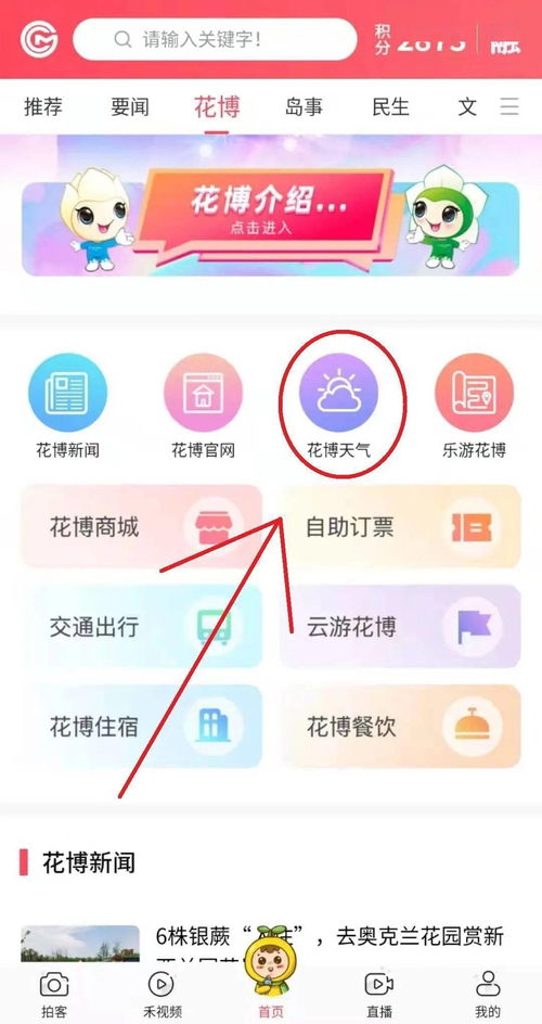 实测对比,2025年实时天气预报最准的App,究竟花落谁家? 实测对比,2025年实时天气预报最准的App,究竟花落谁家?